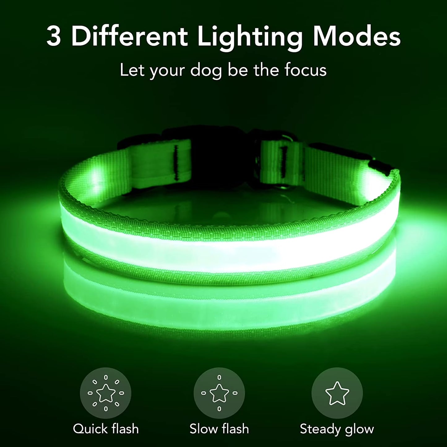 BarkDog USB rechargeable LED dog collar for safe night walks