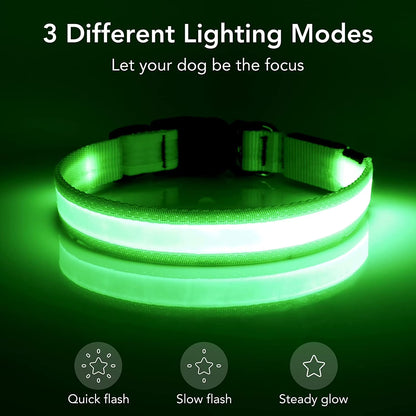 BarkDog USB rechargeable LED dog collar for safe night walks