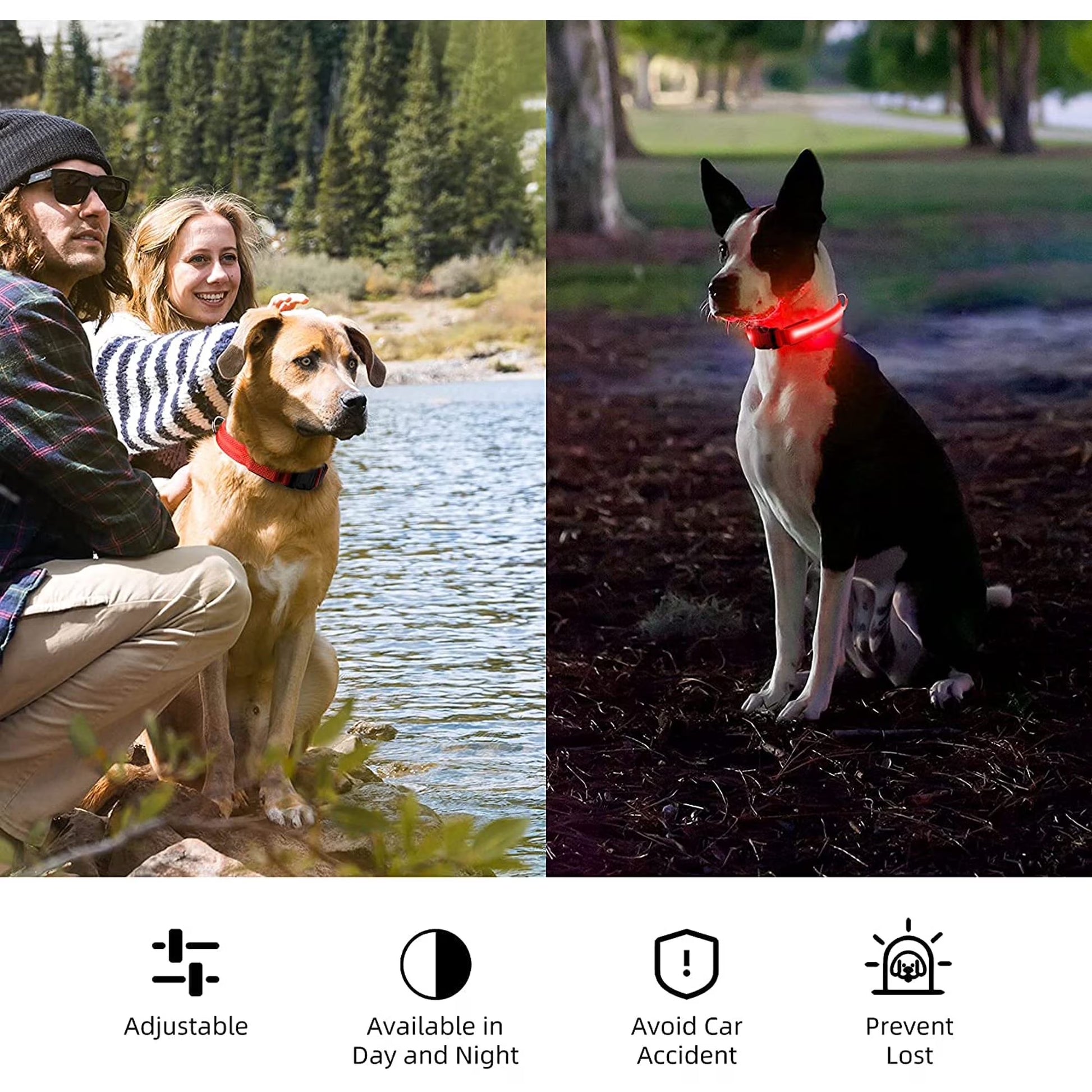 BarkDog USB rechargeable LED dog collar for safe night walks