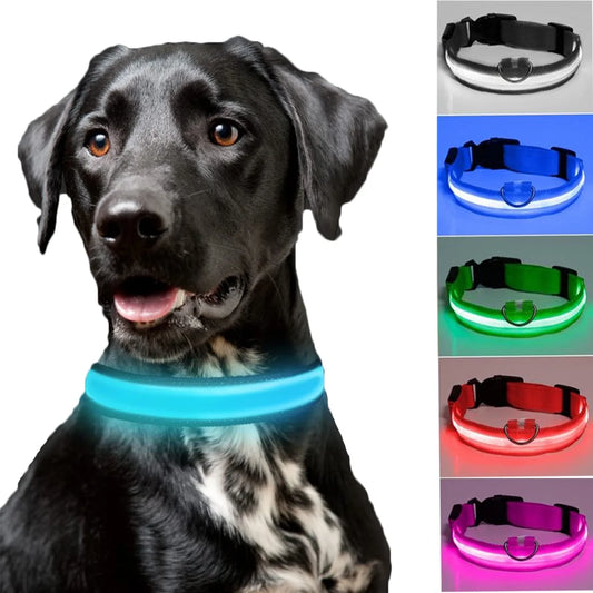 BarkDog USB rechargeable LED dog collar for safe night walks